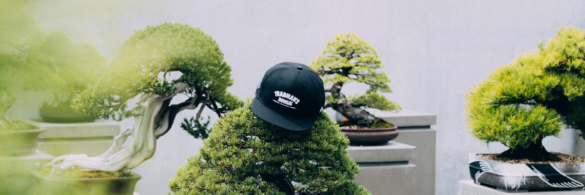 TRADMANʼS BONSAI | ニューエラオンラインストア