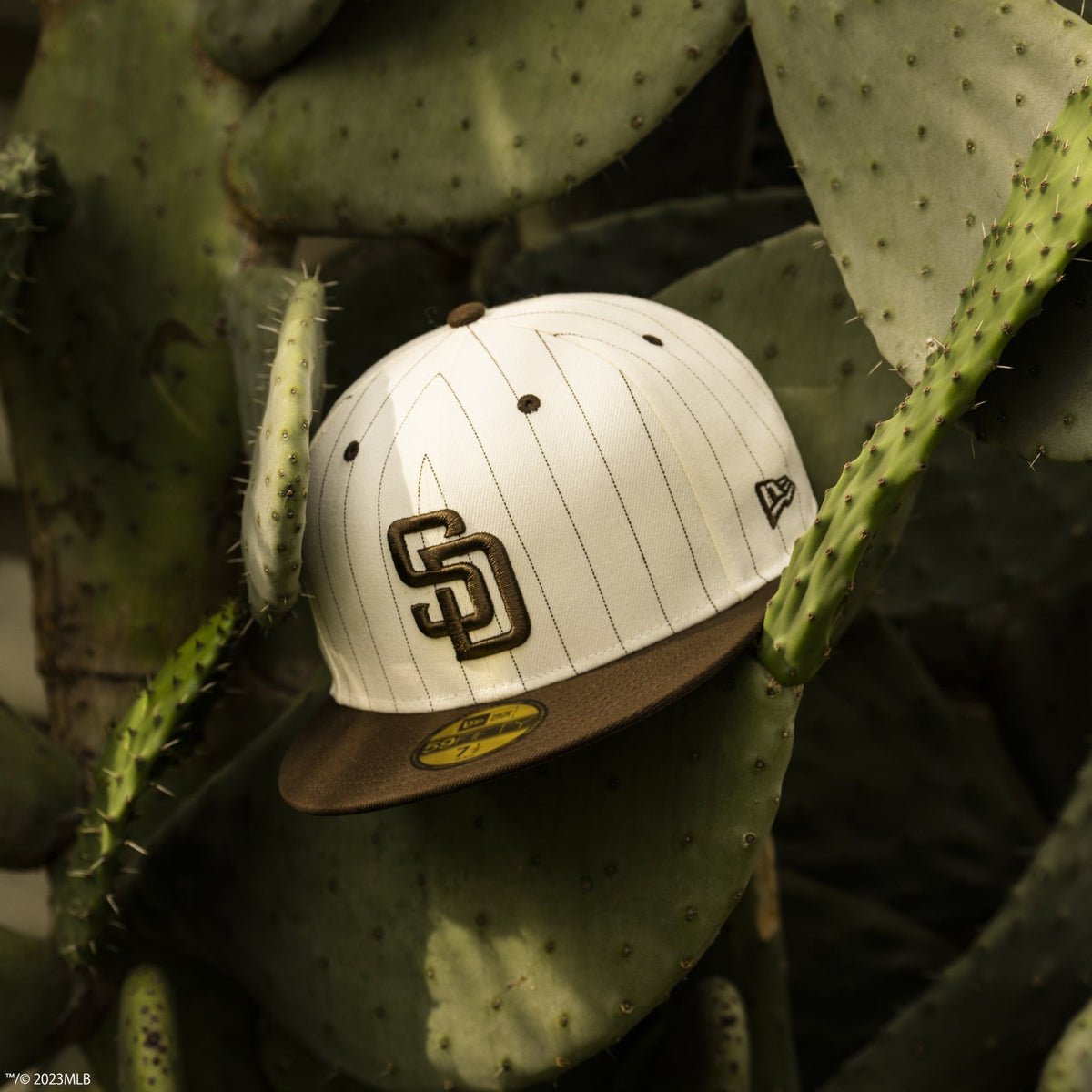 【NEWERA × PG】コラボ ピンストライプ柄ボールポーチ (UNISEX) 楽天市場】newera（柄ストライプ）の通販