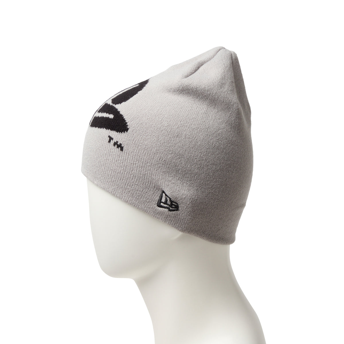 ベーシック ビーニー PlayStation プレイステーション ファミリー