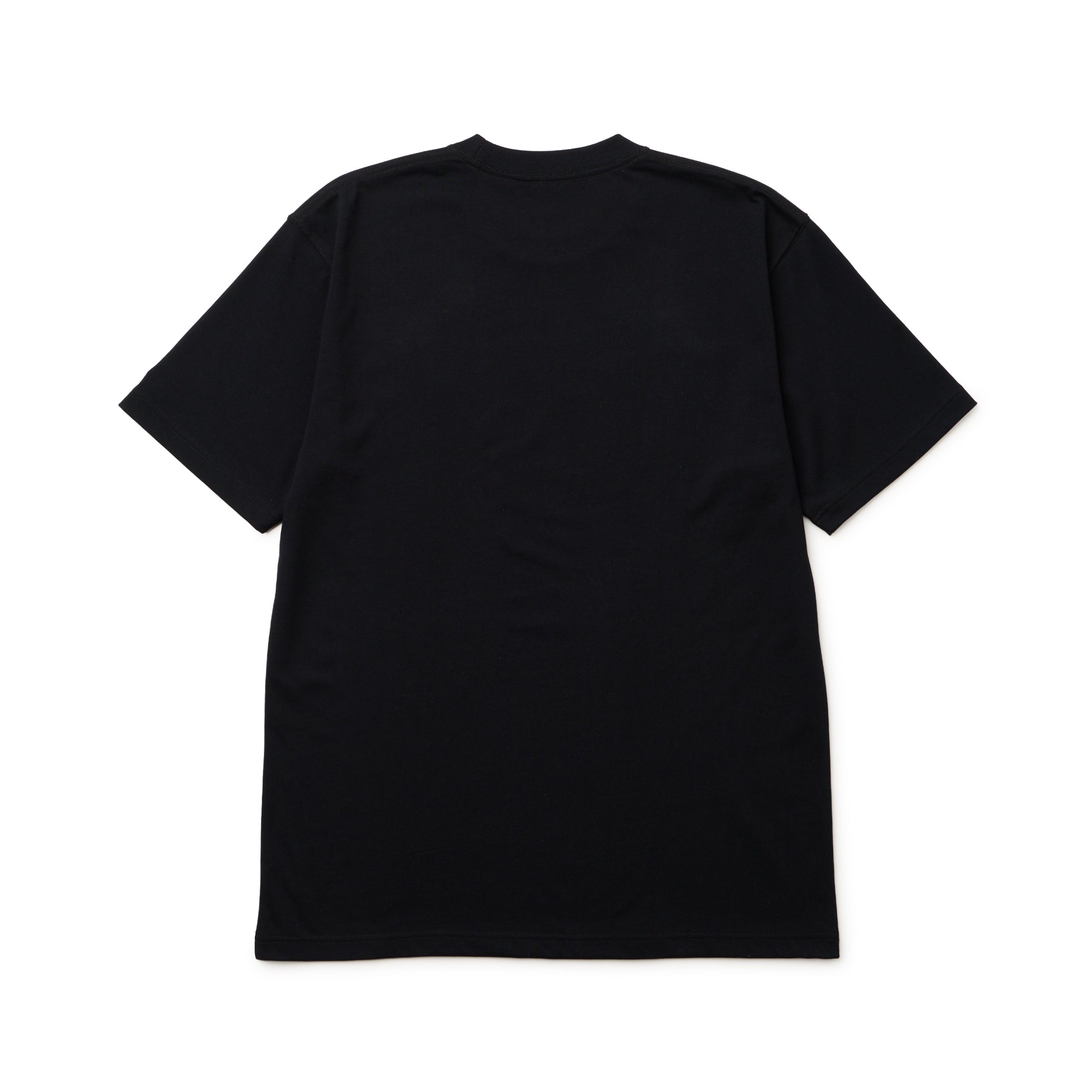 95cm 黒 Tシャツ 半袖 コットン Tシャツ Oriental Paisley フラッグロゴ ブラック