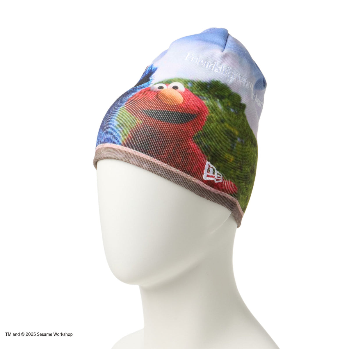 スウェットフーディー、ノベルティのビーニー ベーシック ビーニー SESAME STREET セサミストリート プリント