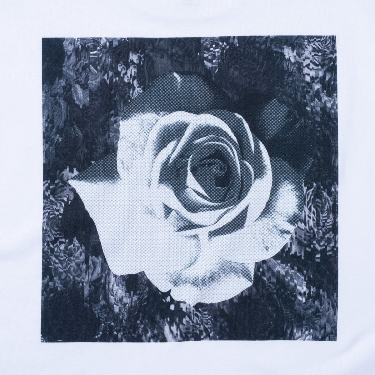 t-kosuke-kawamura-flower-