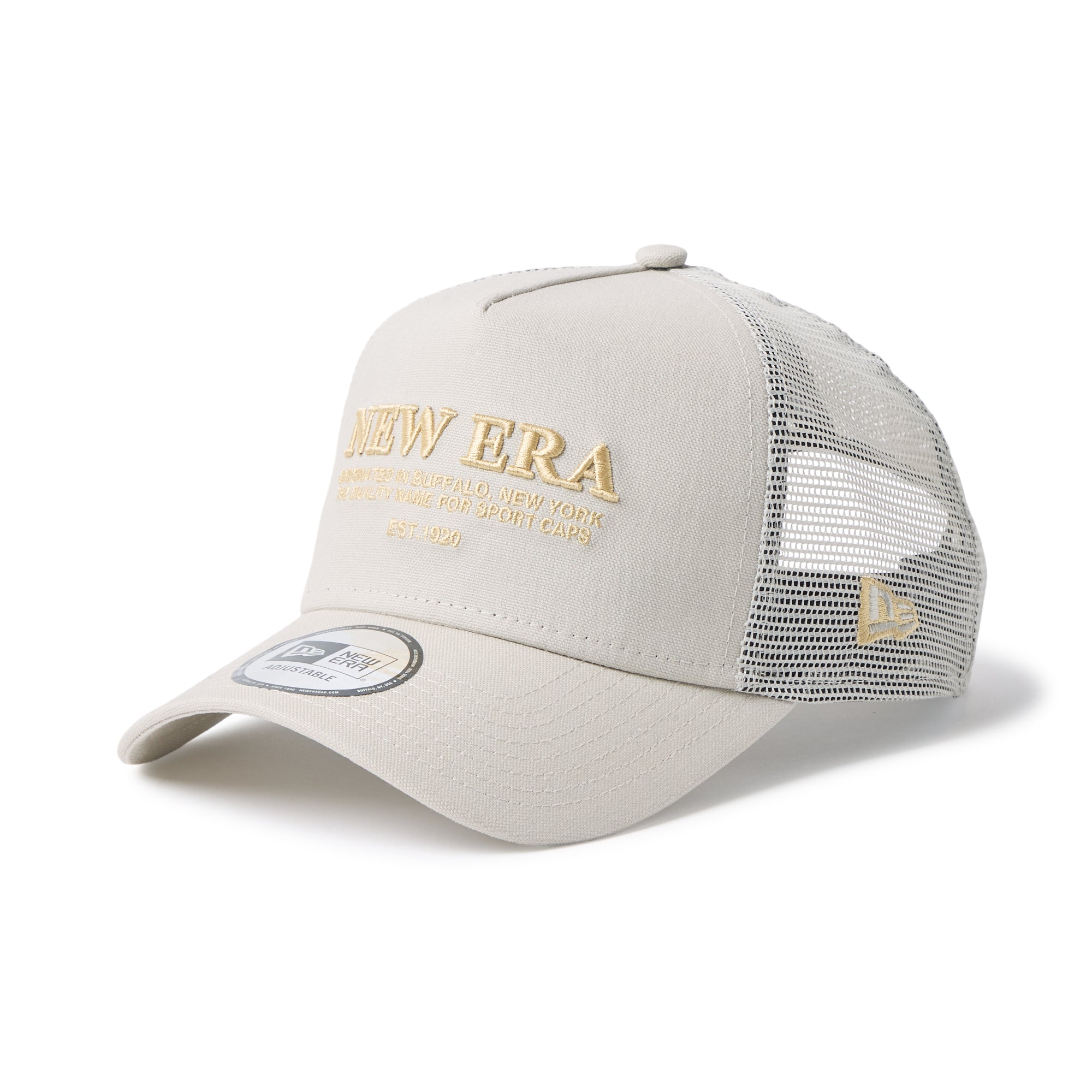 9FORTY A-Frame トラッカー Duck Canvas NEW ERAロゴ ストーン