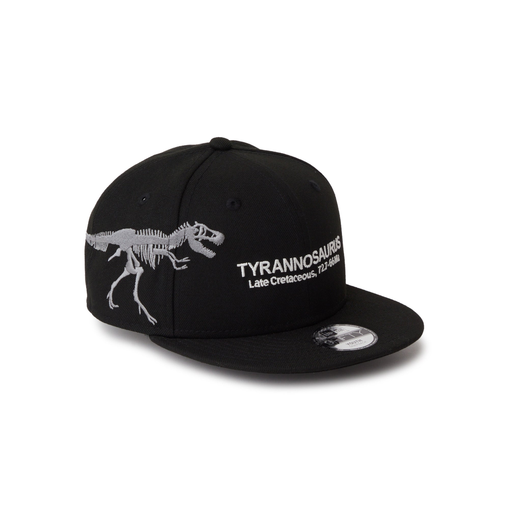 キッズ Youth 9FIFTY Tyrannosaurus ティラノサウルス 化石 ブラック