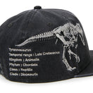 キッズ Youth 9FIFTY Dinosaur スケルトン ウォッシュド ブラック