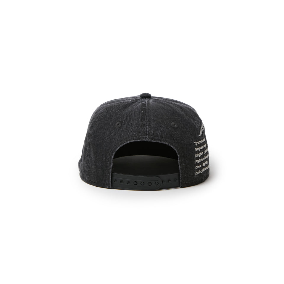 キッズ Child 9FIFTY Dinosaur スケルトン ウォッシュド ブラック | NEW ERA ニューエラ公式オンラインストア