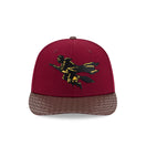 PC 59FIFTY Harry Potter ハリー・ポッター クィディッチ カーディナル