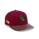 PC 59FIFTY Harry Potter ハリー・ポッター クィディッチ カーディナル