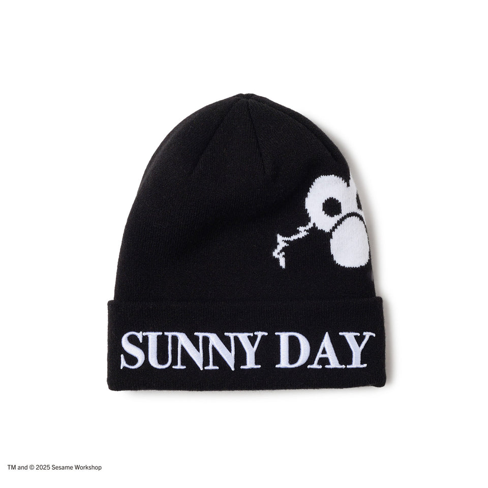 R0111セリニット帽 ベーシック カフニット SESAME STREET セサミストリート SUNNY