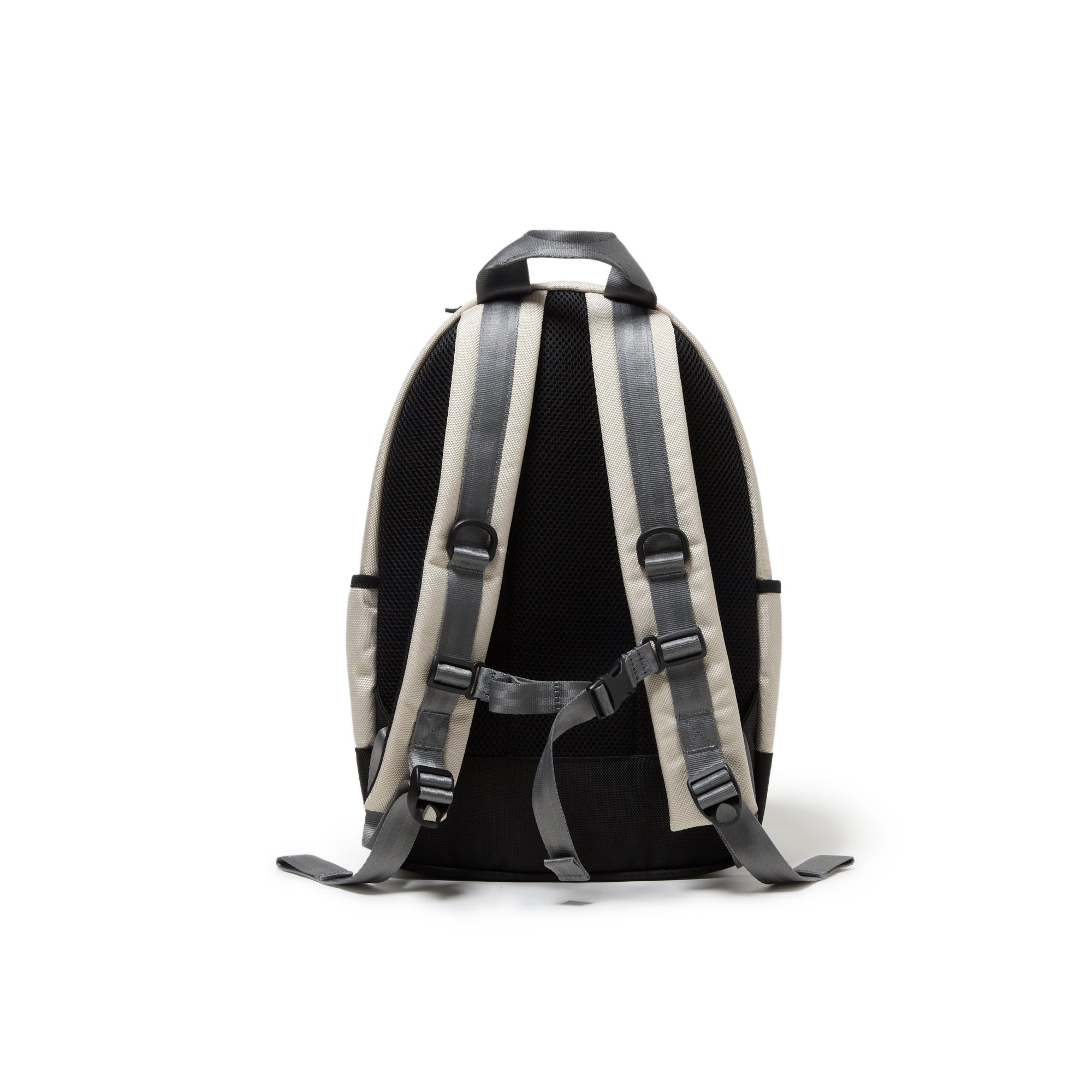 キッズ Youth ライトパック 18L ワードマークロゴ ストーン 5