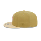 59FIFTY Earth Day Repreve ラスベガス・レイダース モスグリーン グレーアンダーバイザー - 13695332-700 | NEW ERA ニューエラ公式オンラインストア