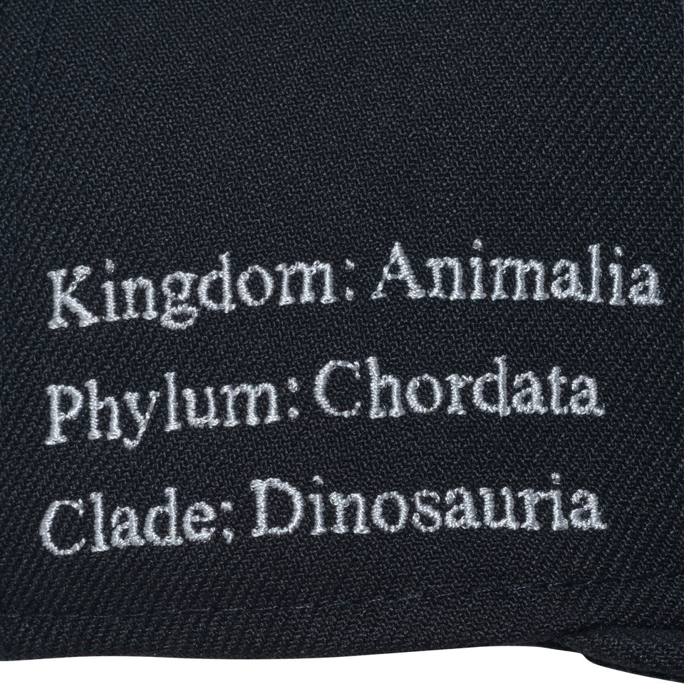 Child 9FIFTY Dinosaur ティラノサウルス ブラック - 14112006-CHLD | NEW ERA ニューエラ公式オンラインストア