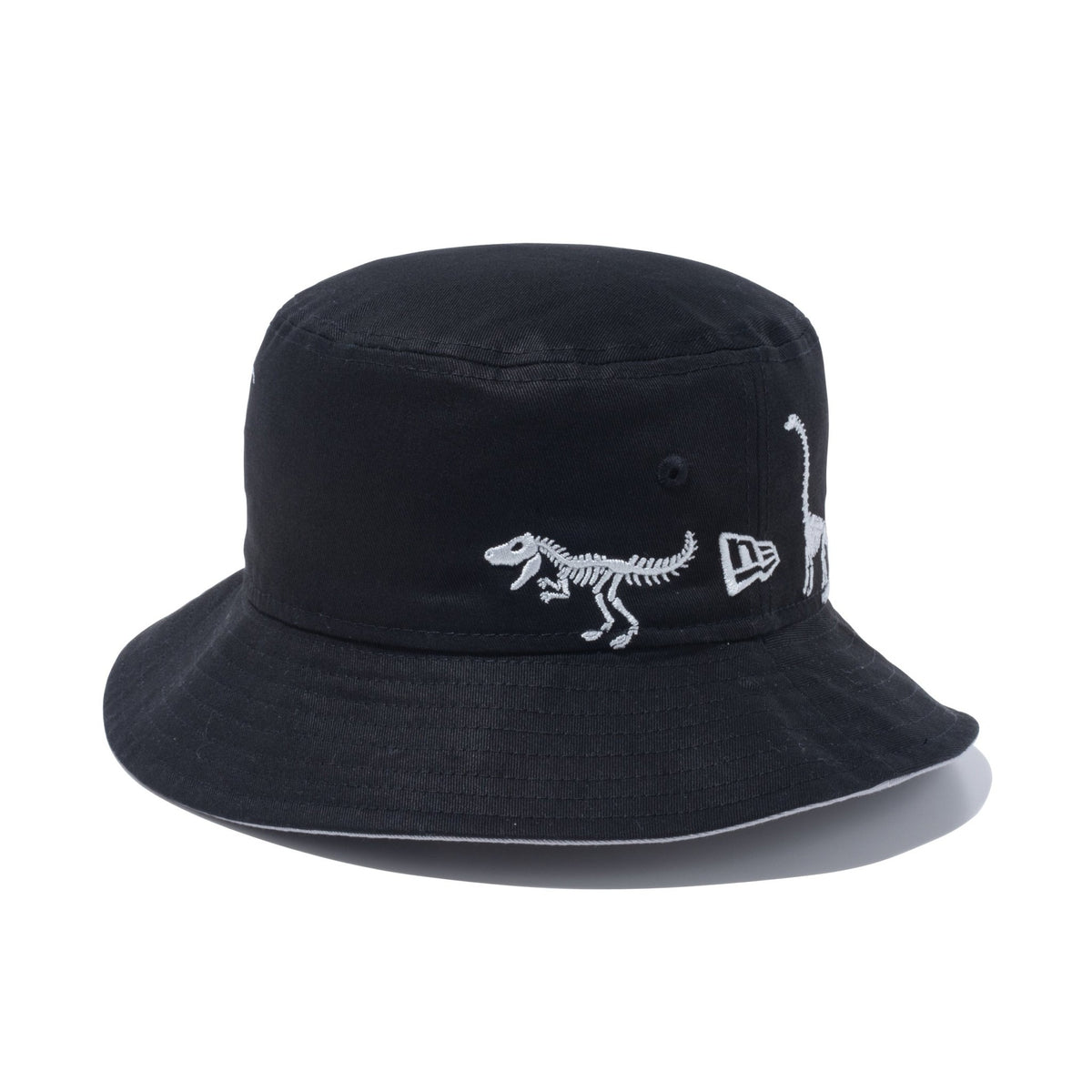 kids-01-dinosaur-13762874-sm-